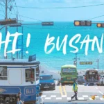 Discover Busan: A 3D2N Itinerary for Your Ultimate Korean Getaway